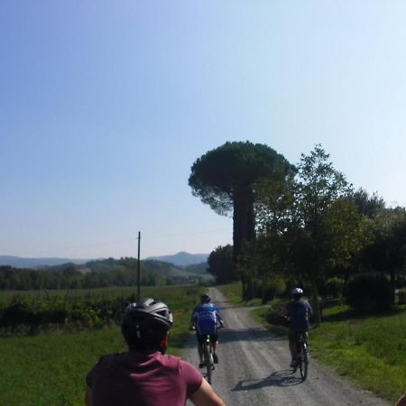 Podere Ripi Volterra Eksteriør bilde