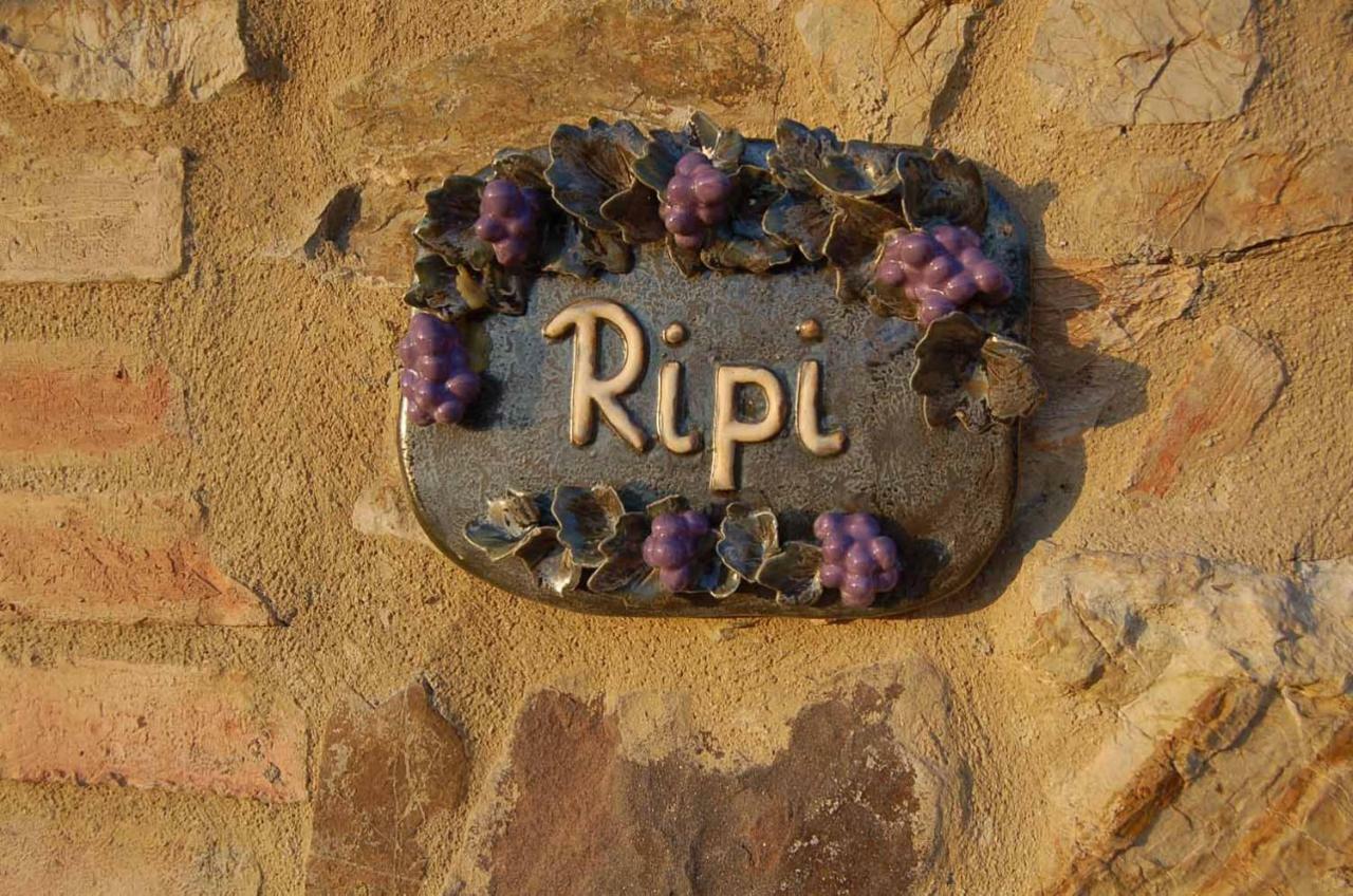 Podere Ripi Volterra Eksteriør bilde